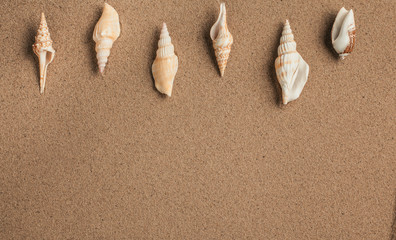 Starfish and shells with sand as background. Sand texture