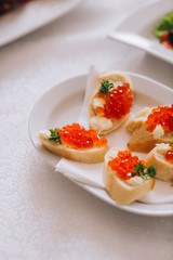 Beautifully decorated catering banquet table with different food snacks and appetizers with sandwich, caviar, fresh fruits on corporate christmas birthday party event or wedding celebration