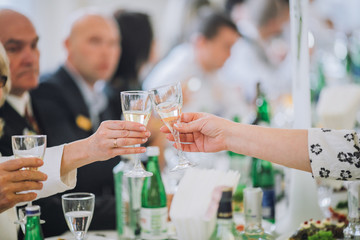 Closeup photo of celebrating people clinking glasses with alcohol