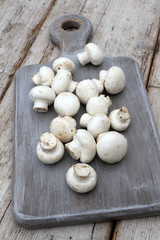 champignons de paris 16072016