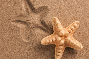 Starfish and shells with sand as background. Sand texture