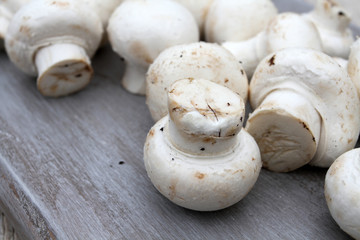 champignons de paris 16072016