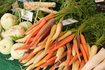 Verschiedene Möhren Sorten