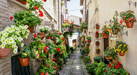 Naklejki  Piękna dekoracja uliczna z kwiatami w średniowiecznym mieście Spello