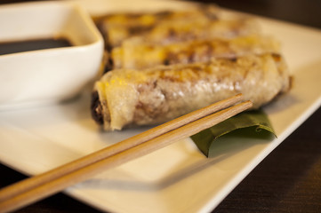 Fried Spring Rolls on the white plate and Soya souse