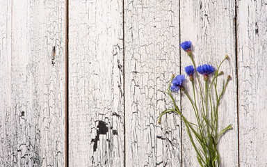 Cornflowers, flowers on wood, summer flowers on wooden background, floral frame. Blue flowers, summer wildflowers bouquet on white wooden background, copy space.