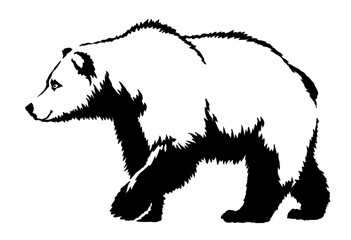 black and white ink draw bear illustration
