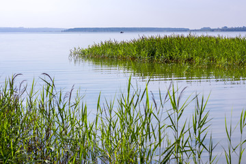 Летний пейзаж с видом на реку. Река Бердь, Новосибирская область, Сибирь, Россия © Starover Sibiriak