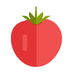 Tomato Vector Illustration in Flat Style Design.  red
