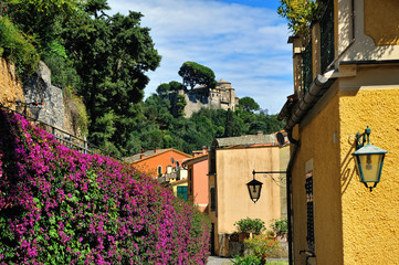 Fototapeta na wymiar street of the Portofino with view on castle Brown