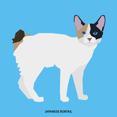 Cat breed, vector illustration