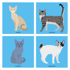Set of cat breeds, vector illustration