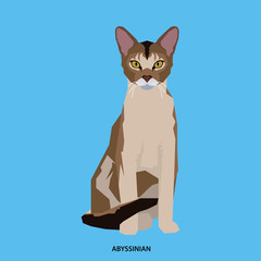 Cat breed, vector illustration