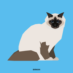 Cat breed, vector illustration