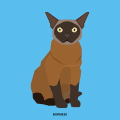 Cat breed, vector illustration