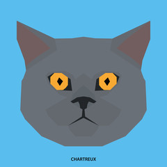 Cat breed, vector illustration
