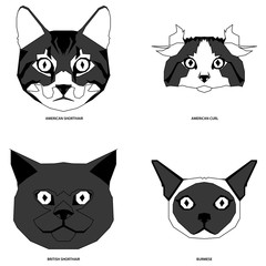 Set of cat breeds, vector illustration