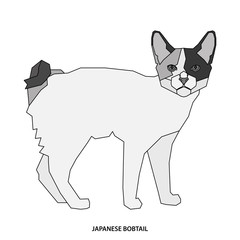 Cat breed, vector illustration