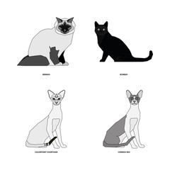 Set of cat breeds, vector illustration