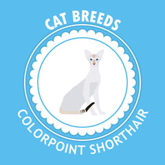 Cat breed, vector illustration