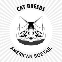 Cat breed, vector illustration