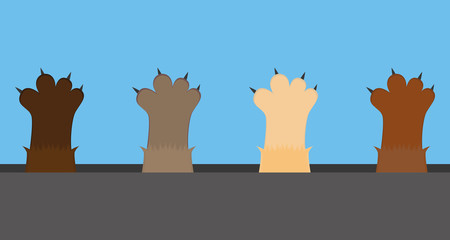 Obraz premium Cat paws, vector illustration