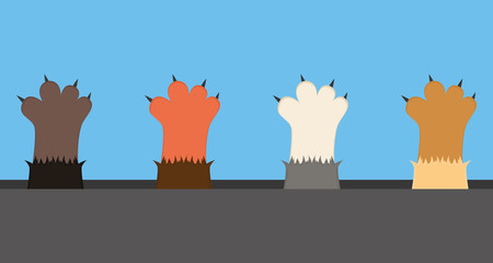 Obraz premium Cat paws, vector illustration