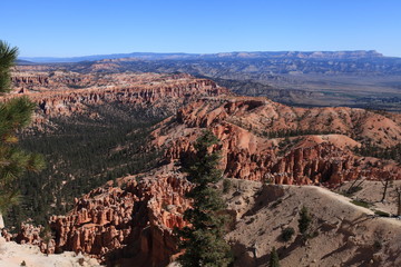 Rainbow point, Bryce canyon NP 