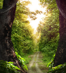 Fototapety na wymiar - Fototapeta24.pl