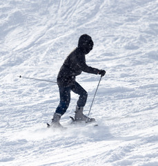 people skiing in the snow