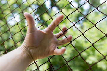 Fototapeta na wymiar hand on a metal fence