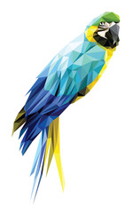 Blue and Yellow Macaw low polygon isolated on white background, colorful parrot bird modern geometric design