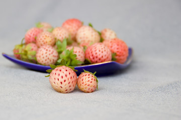 Two pineberries in front of a saucer with pineberries