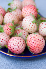 Blue dish with pineberries close-up.