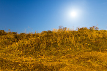 Fototapeta premium dry grass in a field in the moonlight night