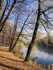 autumn landscape with the river