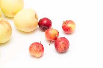 apples on a white background
