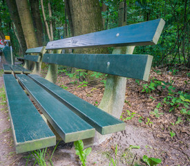 Fototapeta premium green forest bench side close up