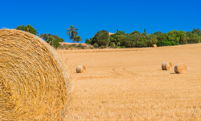 Summer natural landscape field with bales of straw 