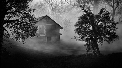 Haunted house increepy forest ./ Halloween background.
