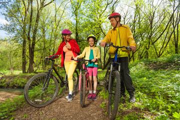 Fototapeta na wymiar Family bike trip in the sunny spring park