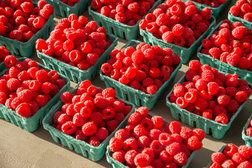 Fresh raspberries in baskets on the market