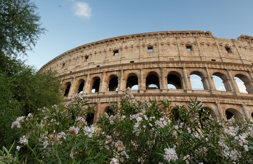 Fototapeta na wymiar The Colosseum in Rome surrounded by trees and flowers 