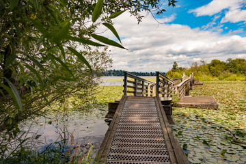 Floating Bridge on Arboretum Trail at Marsh Island in Seattle, Washington, USA