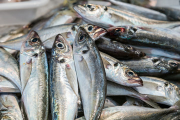 fresh raw fish in market