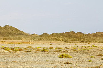 Masirah island landscape, sultanate of oman