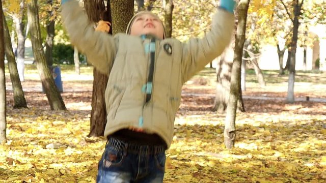 boy throws fallen leaves in autumn park, slow motion