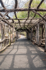 Obraz premium Rustic wood arbor and path at Prospect Park in Brooklyn, New York City