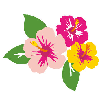 Hibiscus flower. Vector illustration.