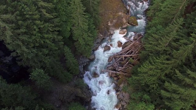 Helicopter View Flying Upstream of Raging Forest River